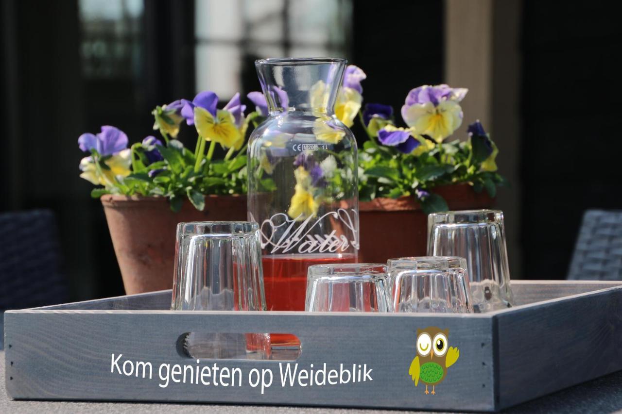 Vakantiehuis Weideblik Biezenmortel Eksteriør billede